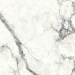 carrelage charme invisible 60x120cm